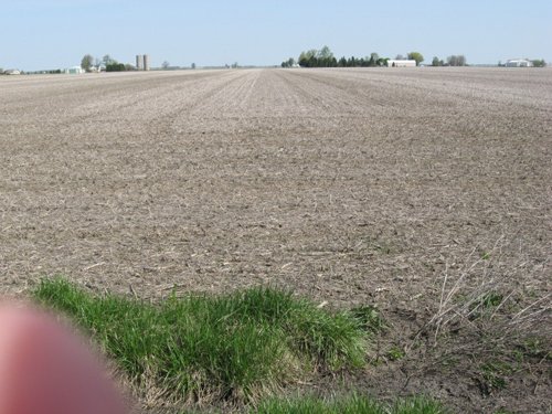 Property photo 1 - 172 Acres Offered in 3 Tracts - Prime Farmland